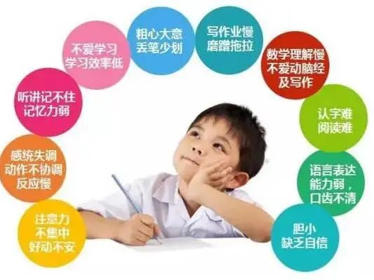 同辉家政